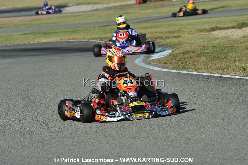 DSC_5231.JPG