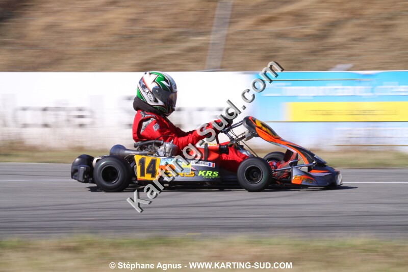 IMG_8894.JPG