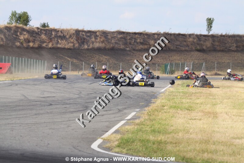 IMG_9910.JPG