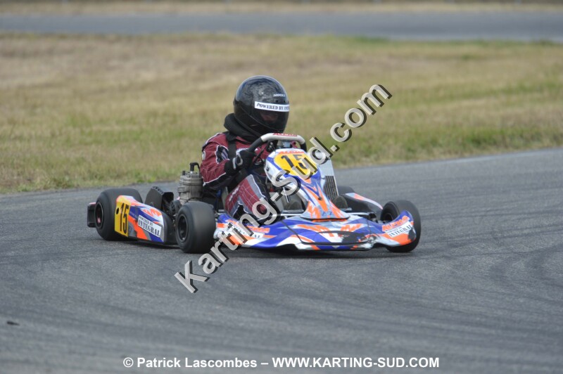 DSC_4517.JPG