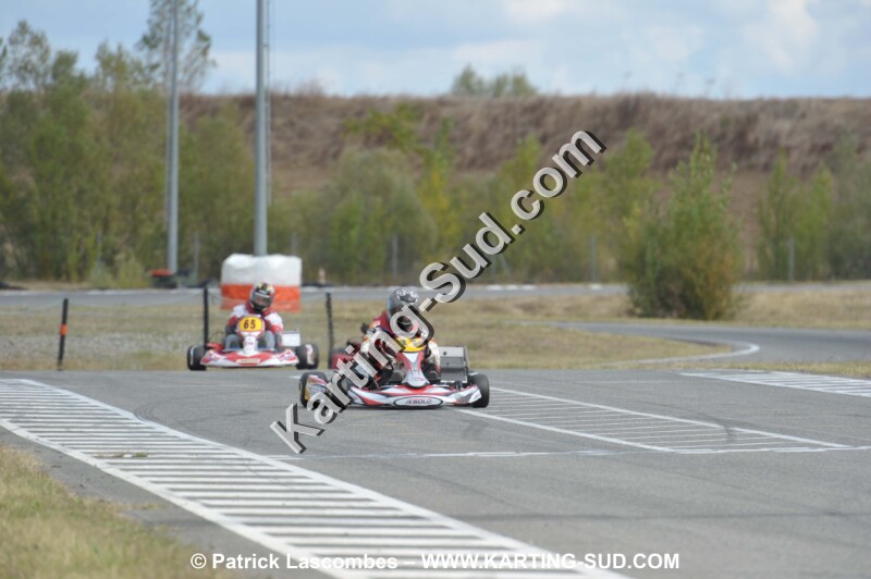 DSC_4540.JPG