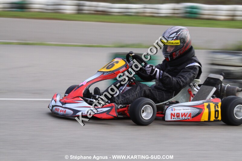 IMG_2313.JPG