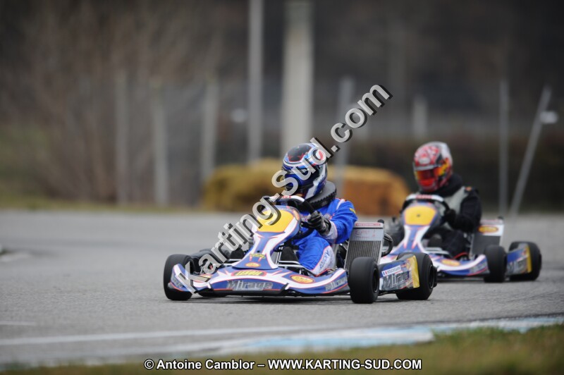 DSC_7911.JPG
