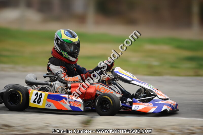 DSC_7975.JPG
