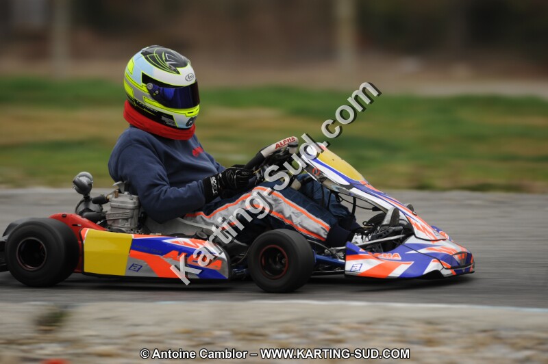 DSC_7981.JPG