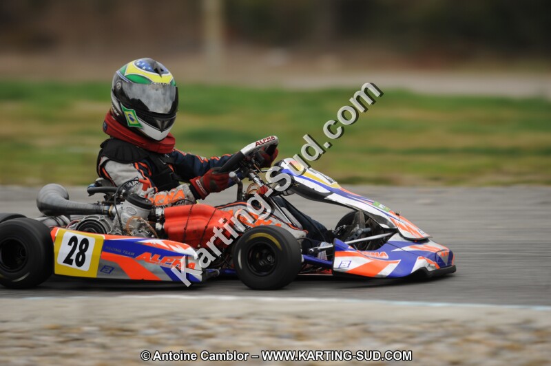 DSC_7982.JPG