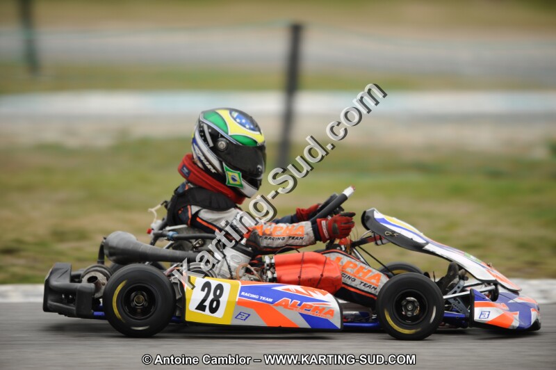 DSC_7997.JPG