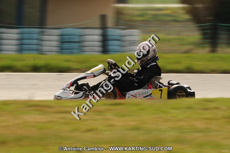 DSC_8194.JPG