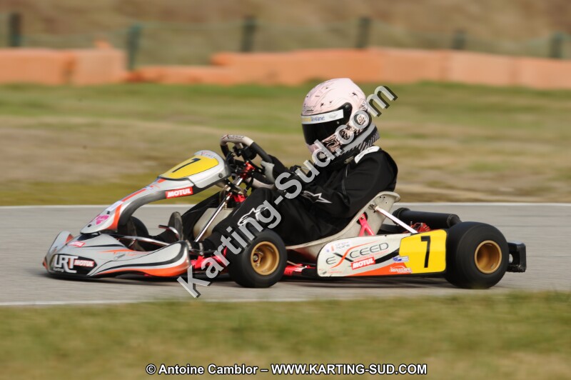 DSC_8216.JPG