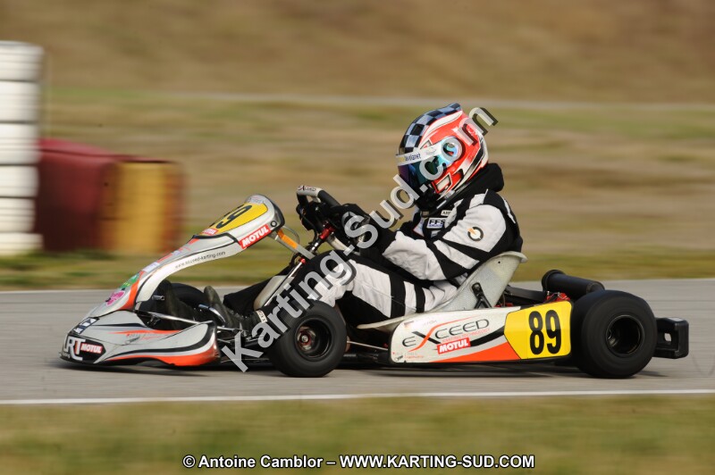 DSC_8231.JPG