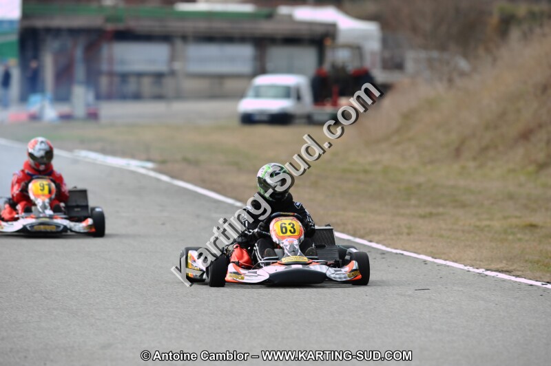 DSC_8337.JPG