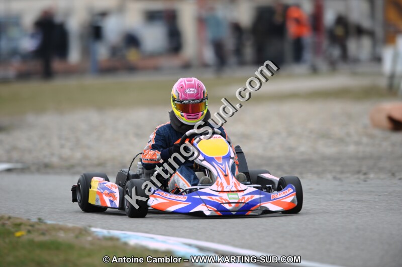 DSC_8462.JPG