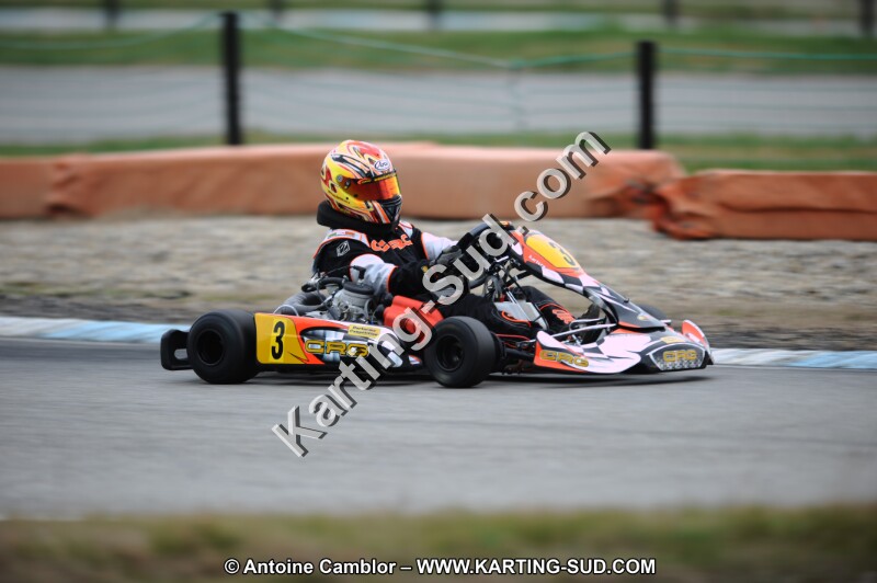DSC_8535.JPG