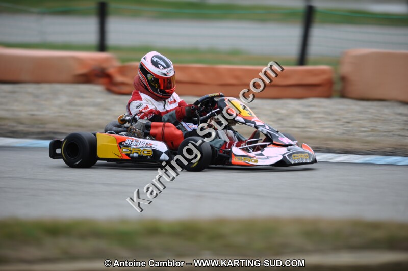 DSC_8536.JPG