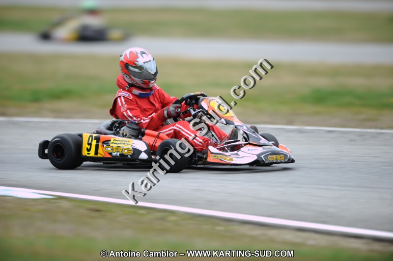 DSC_8554.JPG