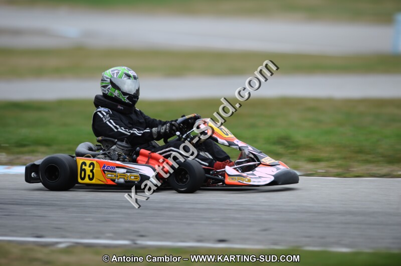 DSC_8559.JPG