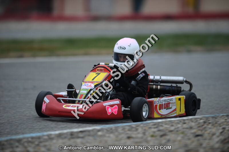 DSC_8587.JPG