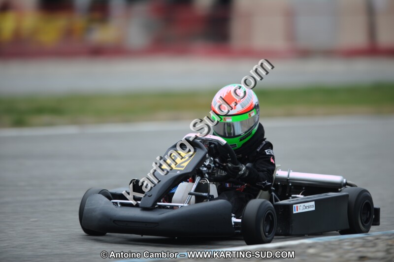 DSC_8596.JPG