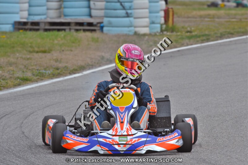 DSC_7903.JPG