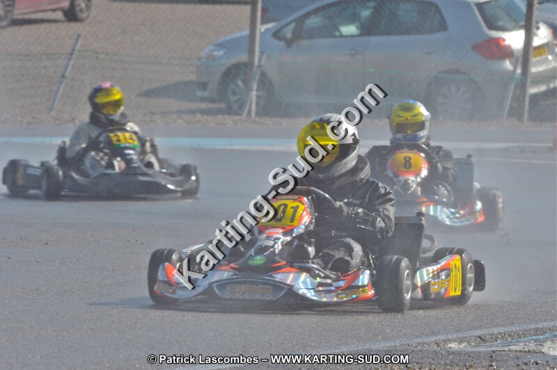 DSC_8283.JPG
