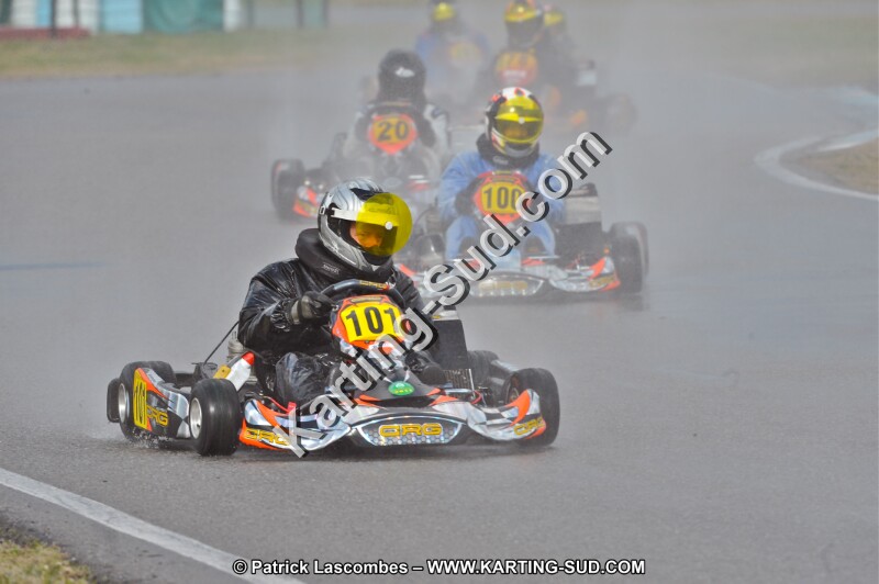 DSC_8593.JPG