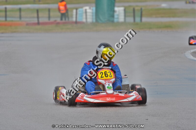 DSC_8609.JPG