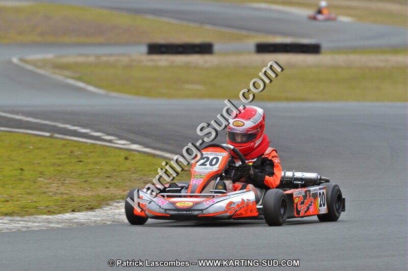 DSC_2239.JPG
