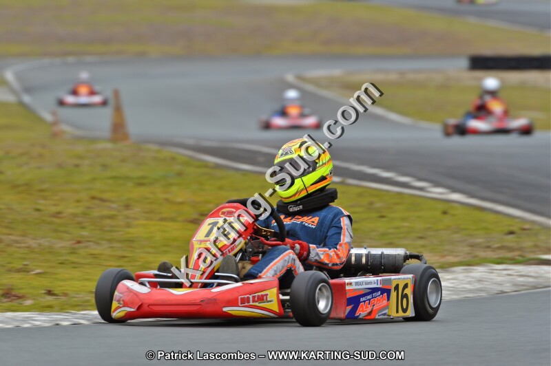 DSC_2241.JPG