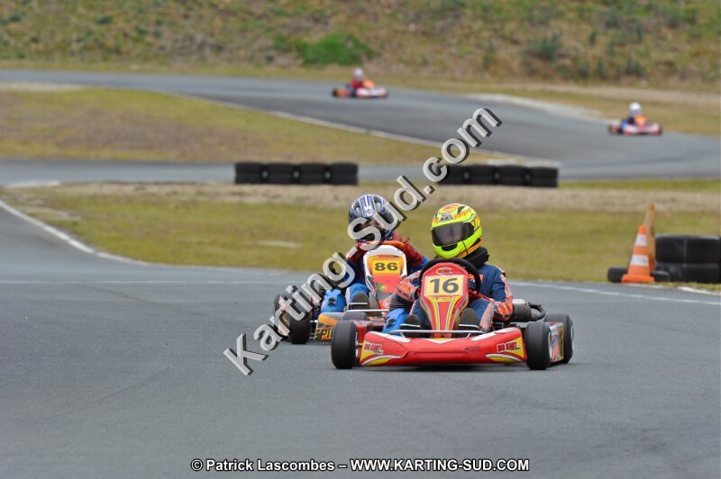 DSC_2261.JPG