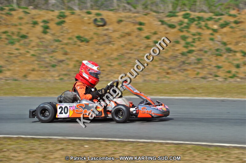 DSC_2893.JPG