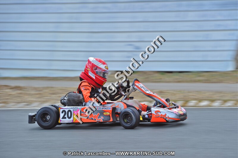 DSC_2919.JPG