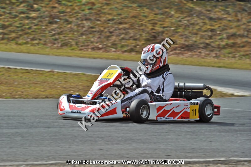 DSC_2994.JPG