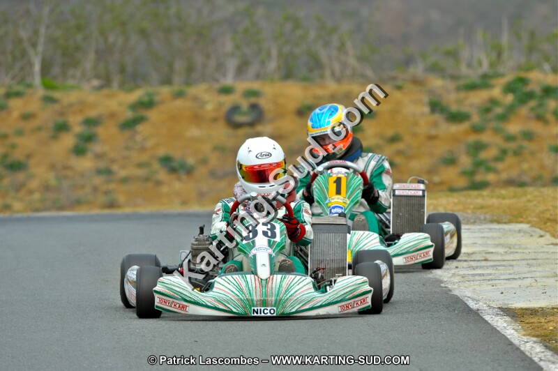 DSC_9311.JPG