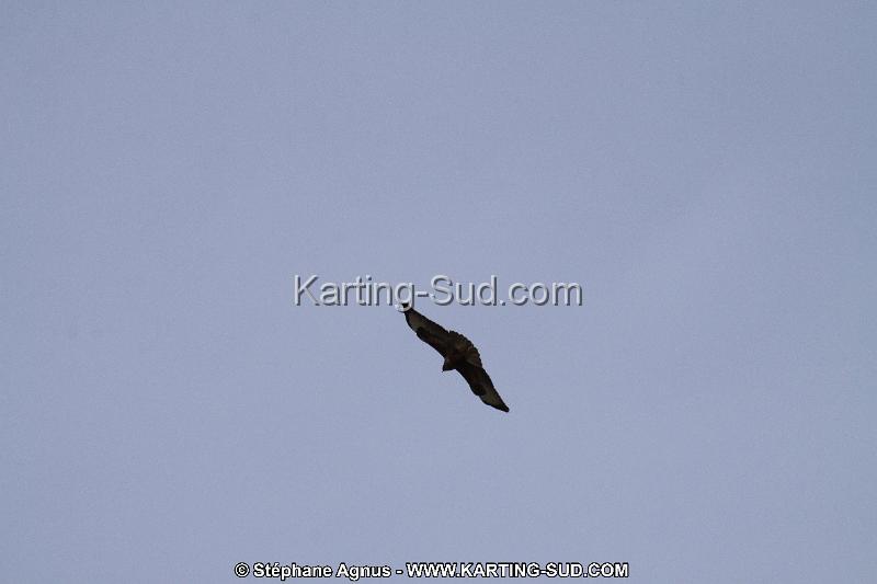 IMG_1731.JPG