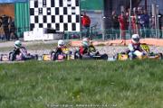 IMG_0586