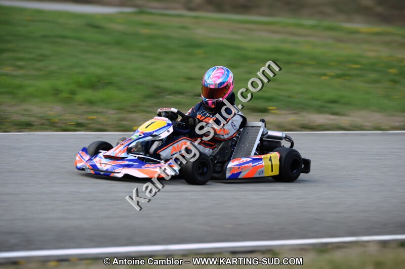 DSC_6242.JPG