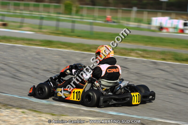 DSC_6310.JPG