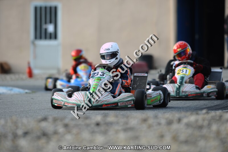 DSC_6537.JPG