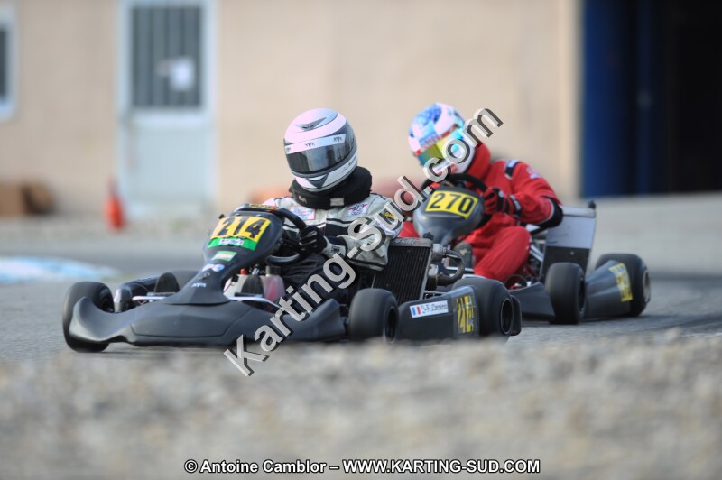 DSC_6546.JPG
