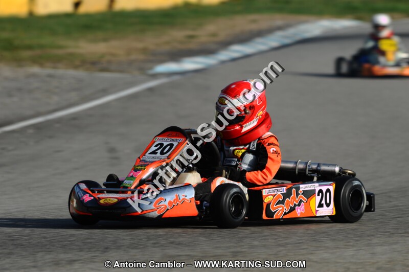 DSC_6771.JPG