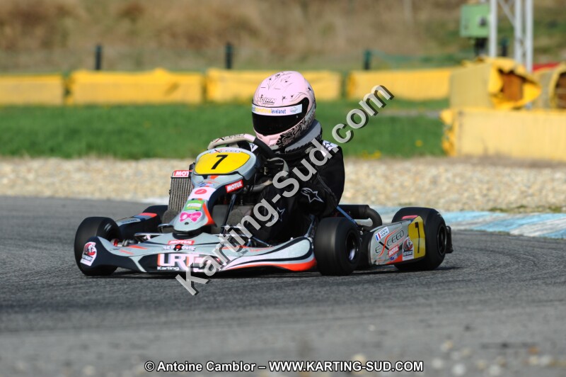DSC_7131.JPG