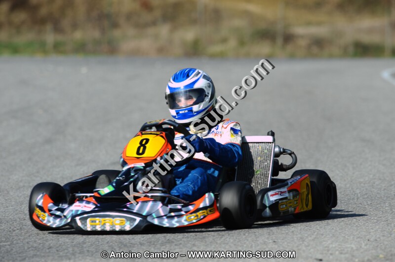 DSC_7239.JPG