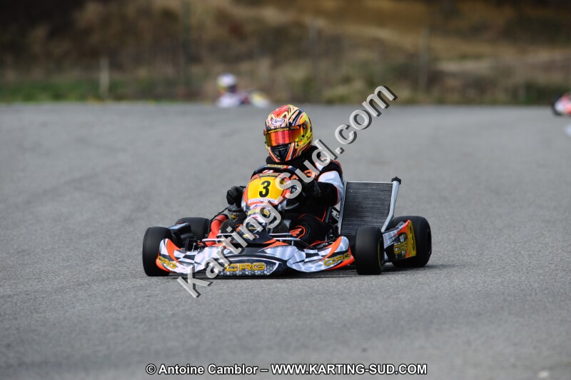 DSC_7559.JPG