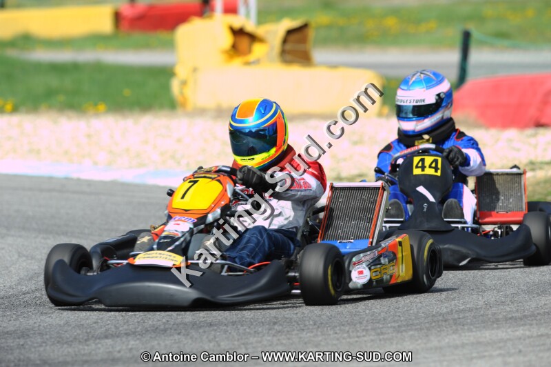DSC_7653.JPG