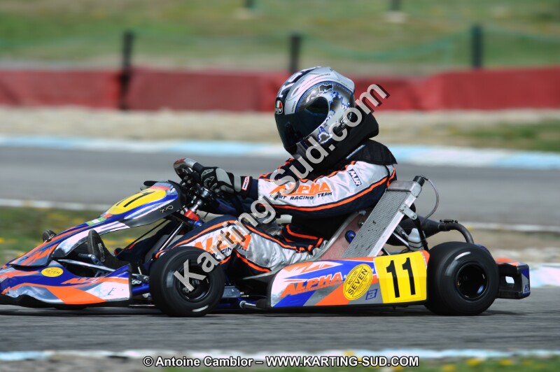 DSC_7668.JPG