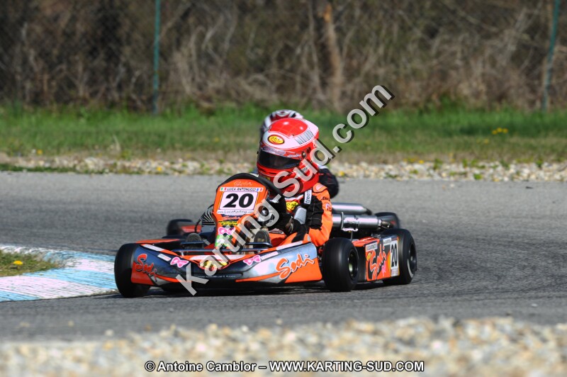 DSC_7730.JPG