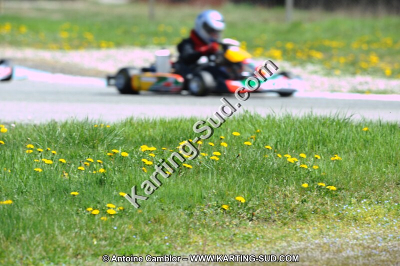DSC_8014.JPG