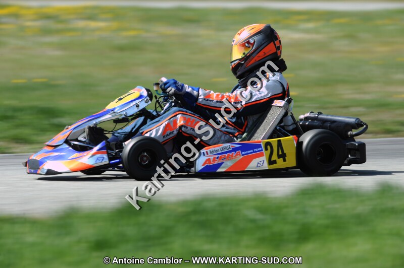 DSC_8187.JPG