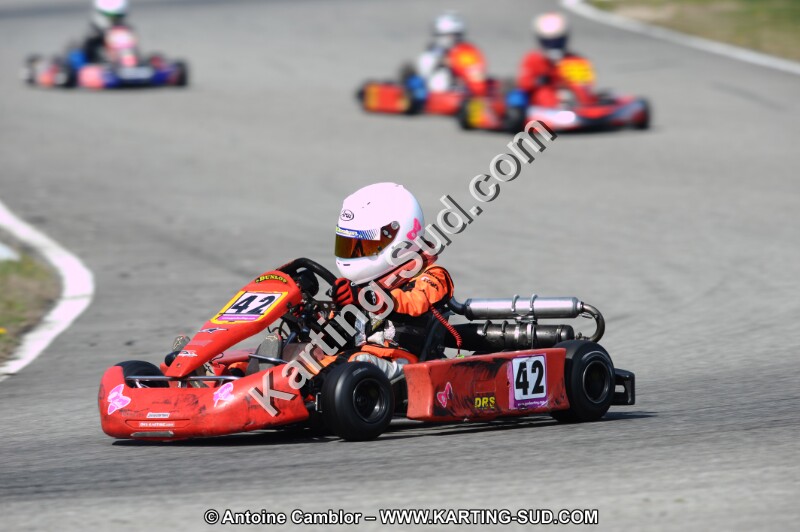 DSC_8334.JPG