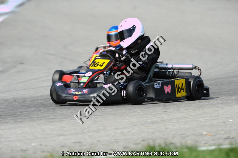 DSC_8378.JPG